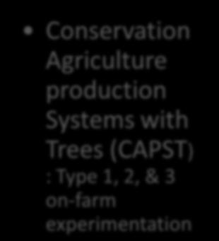 management Crop nutrition Pests management Insects Diseases Weeds Conservation Agriculture production Systems with Trees