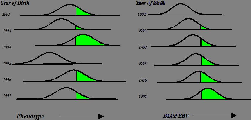 Fig. 15.3 Selection across age classes is facilitated by BLUP. BLUP accounts for genetic trend Another illustration how BLUP helps to select across age classes is depicted in Figure 15.3. The figure mainly illustrates how BLUP accounts for year effects and for genetic trend.