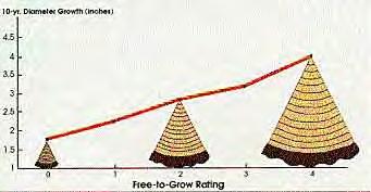 Increase in free to grow