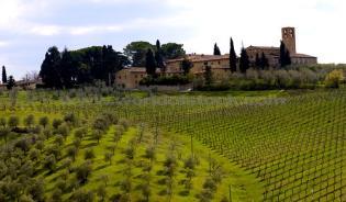 Twothirds of the world s wine is produced in Mediterranean countries (Italy, France, and Spain).