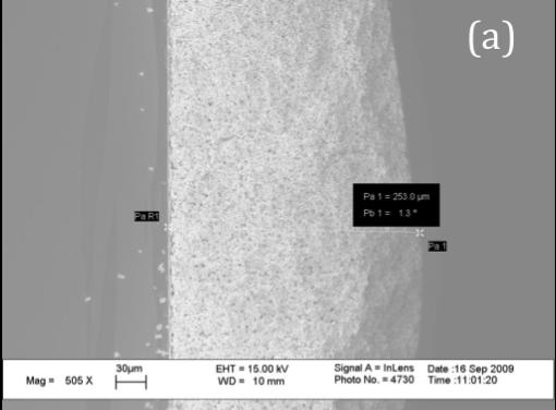 7 6 0 20 40 60 80 100 Electrode Thickness (depth) (µm)