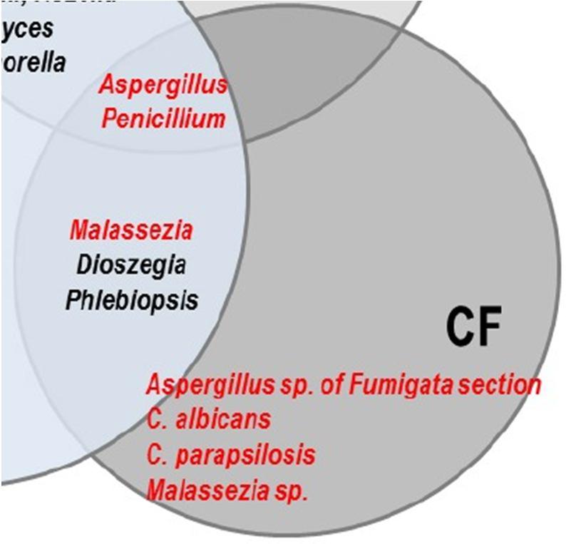 Studies from Dehlaes and Charlson, 2012, *in CF and transplant patients: C. albicans, Aspergillus spp.