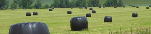 reels required for 3000 bales Difference between conventional & Total Bale Plus 1650m 150m +10% longer 30 bales 33 bales + 3 bales 100 reels 91 reels - 9 reels Get more for your money FAQ Q: What is