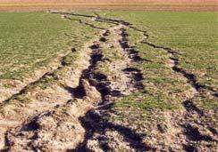 Natural Resource Concerns: Soil Erosion-Sheet, rill, wind and concentrated flow Soil Quality Degradationcompaction, organic matter Insufficient water for