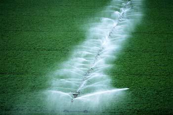 irrigated acres through NRCS programs