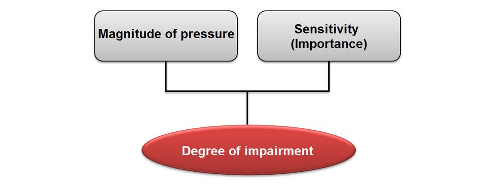 The assessments of the degree of impairment are based on the magnitude of the pressure (in terms of intensity, duration and geographical distribution) and the sensitivity of a given environmental