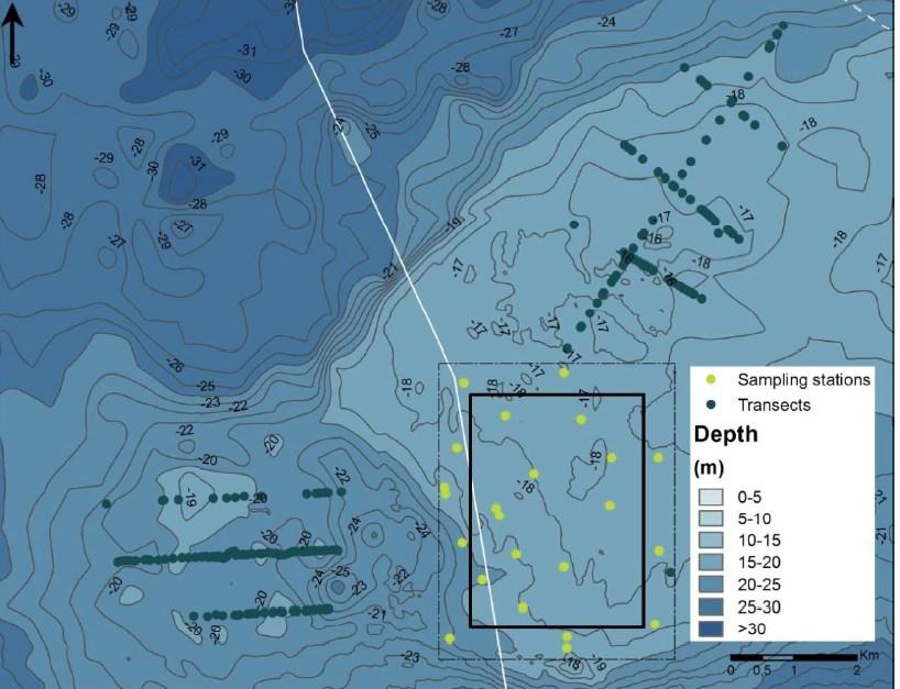 FIGURE 7.9.3 Transects for flora observations outside the impact area and flora observations within the impact area at Kriegers Flak. White line indicates the Danish border 7.9.2 Project Pressures Eight pressures have been determined to have a potential impact on the benthic flora.