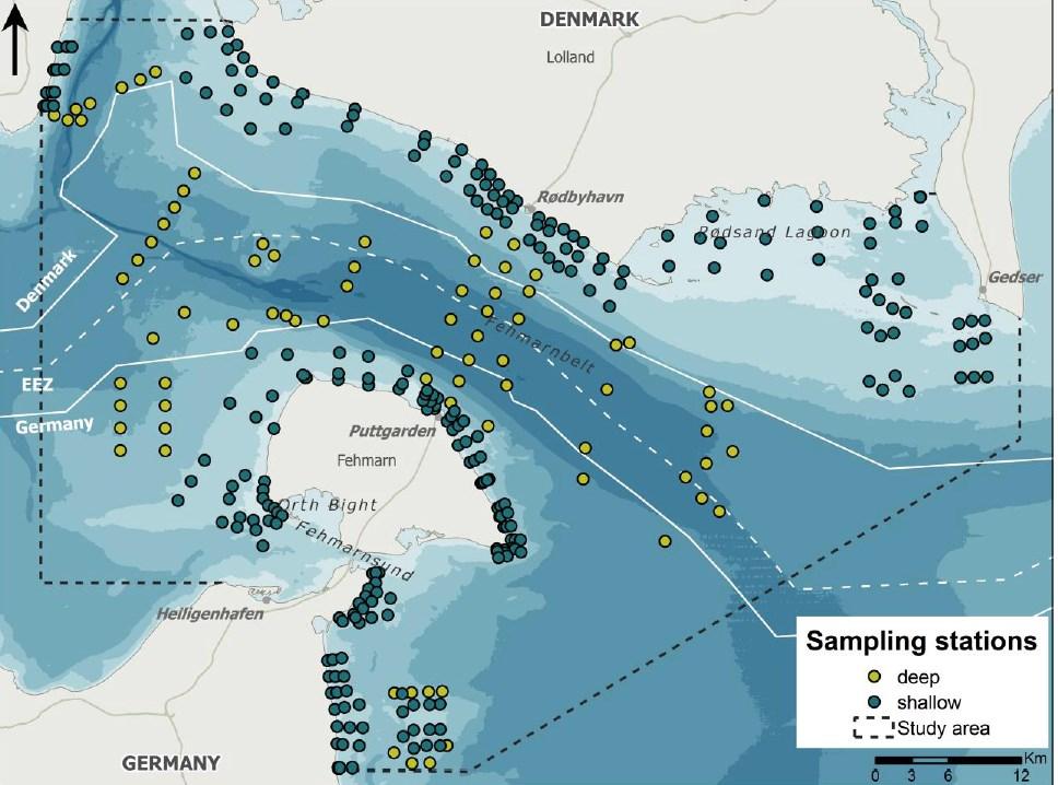 FIGURE 7.10.1 Geographical positions of the sampling stations for the benthic fauna baseline sampling campaign.