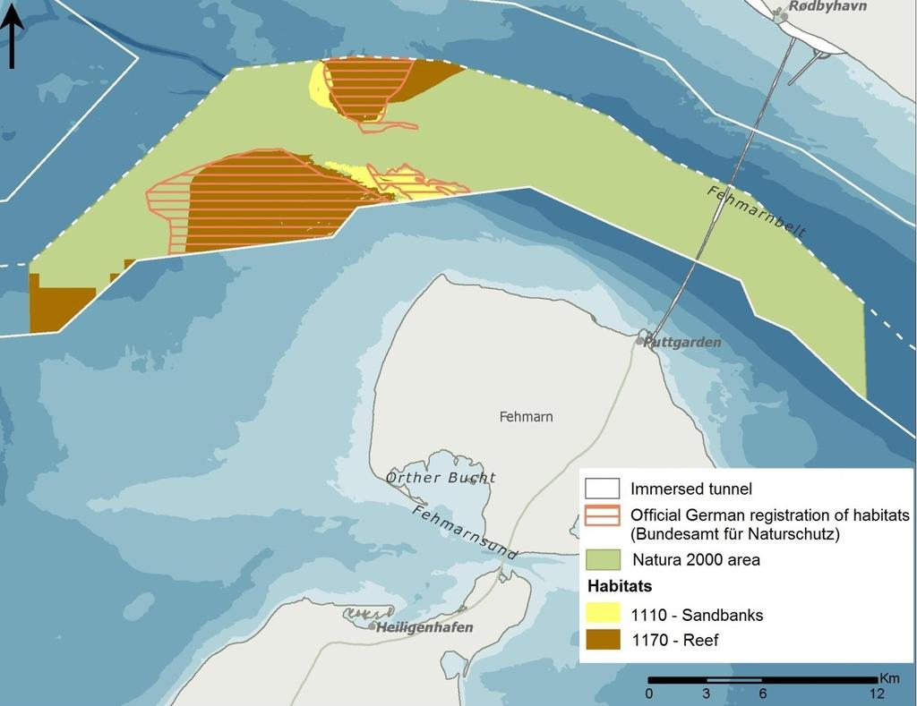 within the Natura 2000 site. On the basis of the investigations of the sediment spreading and deposition, possible impairment on the benthic vegetation is assessed as being insignificant.