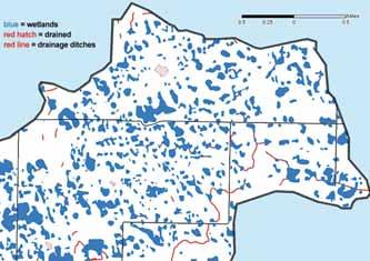 Wetland Loss in Manitoba A Rural and Urban Issue Infrastructure Development, Urbanization and Agriculture Land clearing for development and