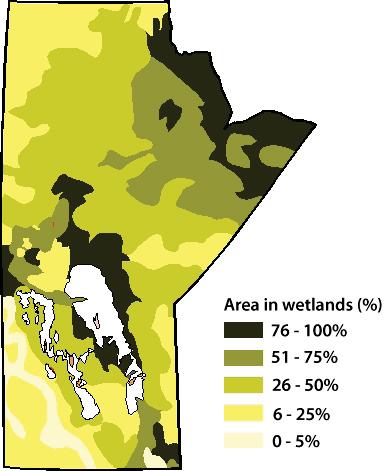 The northern and eastern portions of Manitoba contain primarily bog and fen peat lands (muskeg), while the southern and western portions of the province contain marshes and shallow open water
