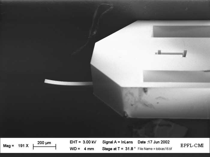MICROMECHANICAL TESTING OF SU-8 CANTILEVERS 737 Fig. 3 Scanning electron microscope (SEM) image of microfabricated SU-8 cantilever.