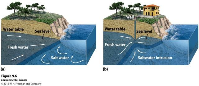 Groundwater Saltwater intrusion- when the pumping of fresh water out of a well is faster
