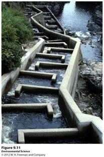 Altering the Availability of Water Fish ladders- a set of stairs with water flowing over