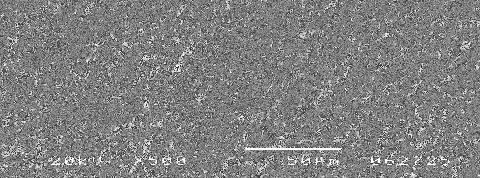 micrographs showing the surface morphologies