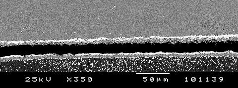 micrographs showing the interface