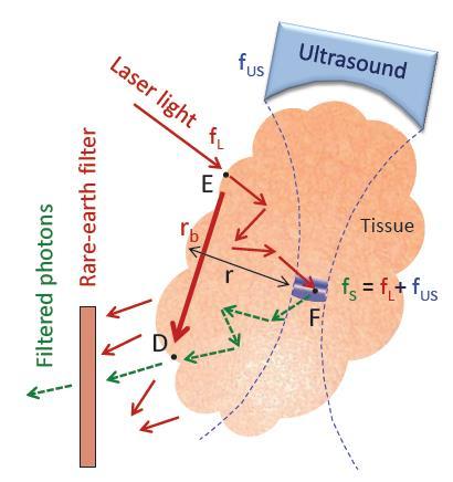 Ultrasound Optical
