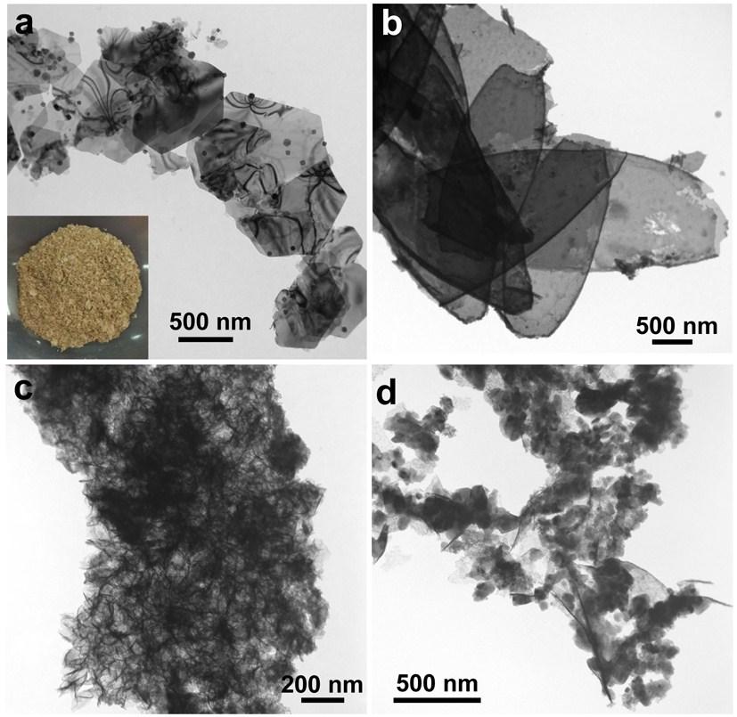 Figure S6. (a) TEM image of Co(OH) 2 nanosheets synthesized at 85 o C in H 2 O without TAA. Inset: the photograph of Co(OH) 2 nanosheets.