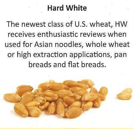 Wheat is