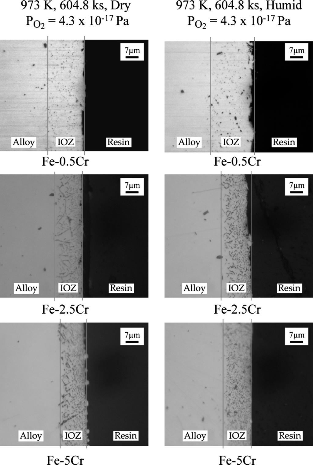 ISIJ International, Vol. 50 (2010), No. 2 Fig. 4a. Cross sections of Fe Cr alloys after internal oxidation at 973 K in dry and humid atmospheres for 604.8 ks. Fig. 5. Square of thickness of the IOZ in Fe Cr alloys as a function of oxidation time.