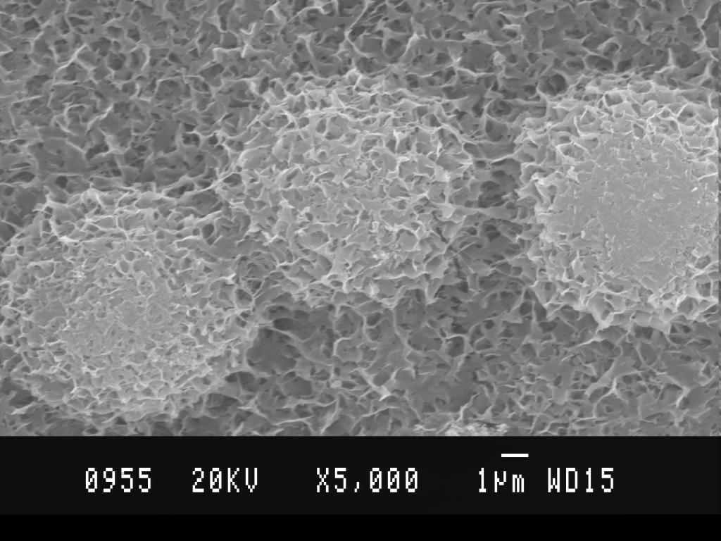 The large number of corrosion spots and its products were noticed on the SEM image of pure Zn coated sample [Fig. 4].