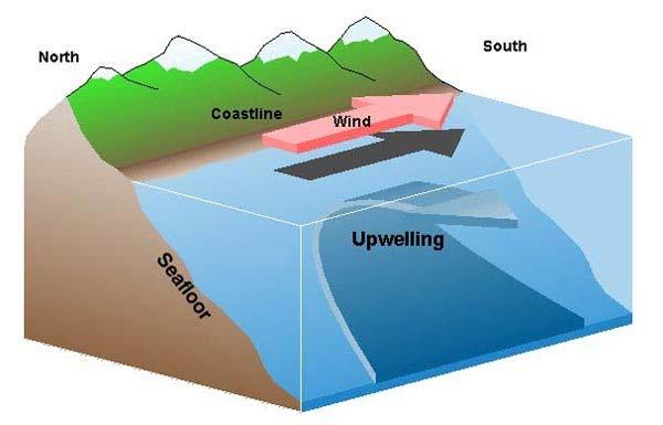 Coastal Upwelling: Influence on Water Quality In Estuaries Influences N, P, chlorophyll a, ph and dissolved