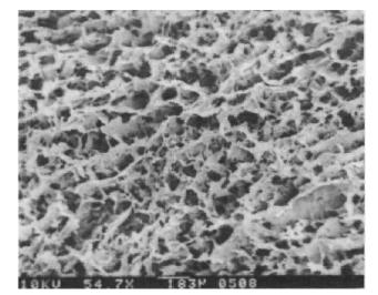 A Type I Collagen Sponge Used as an ECM Analog Porous Sponge without Cells