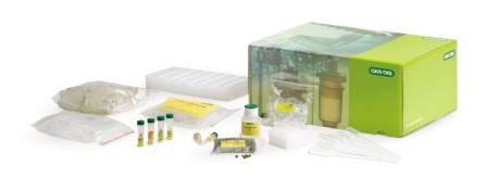 GMO Investigator Kit Contents Not Included but required: Thermal cycler Water bath/heat block Electrophoresis Module (agarose, TAE buffer & Fast Blast DNA stain) Electrophoresis equipment & power