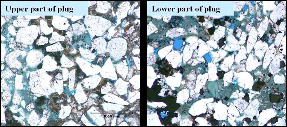 SCA22-42 3/6 The sample represents fine grain marine sandstone with distribution of quartz cement and stylolites.