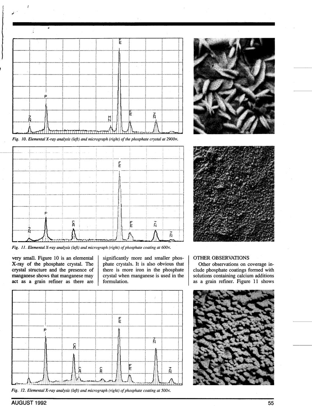 t AUGUST 1992 55 Fig. 10. Elemental X-ray analysis (left) and micrograph (right) of the phosphate crystal at 2900~. Fig. 11.