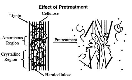 1.6 Pretreatment Pretreatment is an important step in bioconversion of lignocellulosic materials to bioethanol.