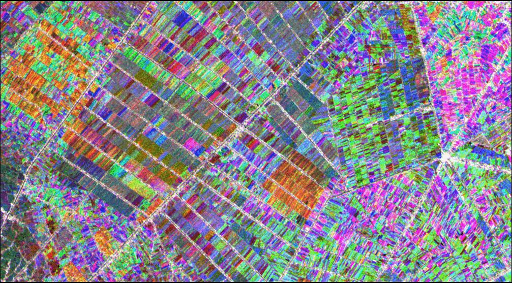 S1 time series of rice fields Examples of RGB combinations of different