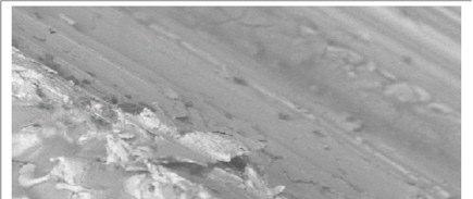 University of Pretoria etd Tshilombo, K G (27) Ag ZrO 2 Figure 3-4. SEM micrograph of zirconia cross-section showing the boundary between zirconia probe and silver used as stabiliser. C.