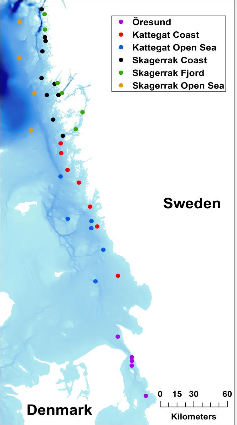 1 Benthic macrofauna in the open sea and coastal areas of Skagerrak, Kattegat and Öresund Rutger Rosenberg a,b, Mats Blomqvist c Marina Magnusson a a Marine Monitoring AB, b University of Gothenburg,