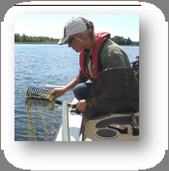 Additional Services Aquatic Plant Surveys Field Services for point intercept surveys GIS Mapping of species location Invasive species identification Experience Have completed 37 aquatic plant surveys