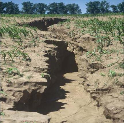 Resource depletion Soil erosion Reduction of SOC Decreasing water table Shrinking cultivation area Forrás: EEA 37/2004, Centeri Cs.