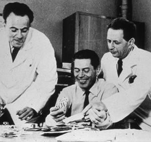 The 1965 Nobel Prize for Physiology or Medicine François Jacob André Lwoff Jacques Monod Working in the Pasteur Institute in Paris Revealed