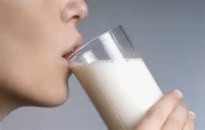 Lactase persistence and milk drinking in humans 65% of the human population today has lactose intolerance: drinking milk makes them