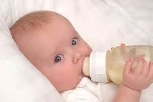 Humans express lactase only in infants but not in adults.