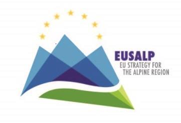 Rules of Procedure for the Action Groups of the EU Strategy for the Alpine Region Version 17 October 2016 Preamble The Joint Statement adopted in Brdo on 25 January 2016 by representatives of the