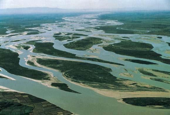 Fluvial processes and flood plains Flood plains Basic concepts of morphology and ecology Highly heterogeneous ecosystems A complex assemblage of: small channels, depressions, backwaters, hillocks,