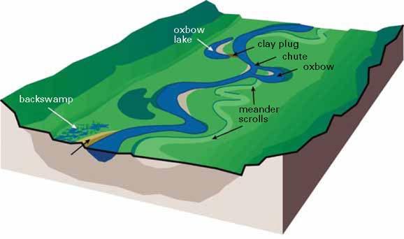 Morphological Regime Basic concepts of morphology and ecology An example of an alluvial river corridor