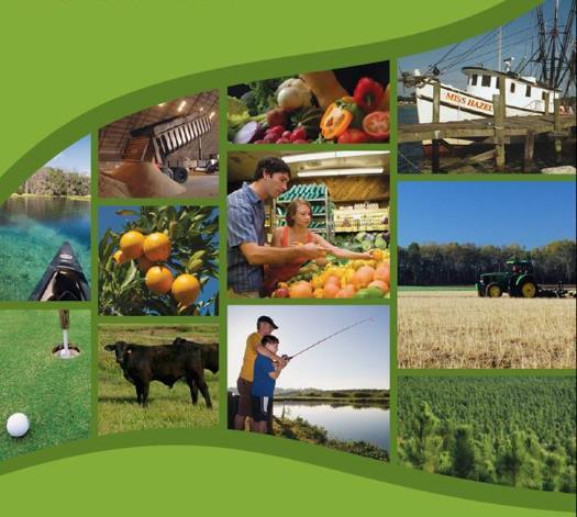 Economic Contributions of Agriculture, Natural Resources, and Food Industries in Florida in 2016 Executive Summary Christa D. Court, PhD, Alan W.