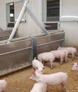 consumer demands for more animal welfare and better environmental emissions and pig farmers requirements to embrace labor saving housing systems and remain economically viable while addressing the