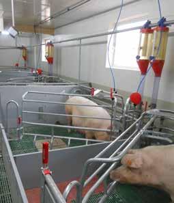 Particular attention is paid to the high functionality as well as to the critical life phase of the suckling piglets and the resulting fixing duration.