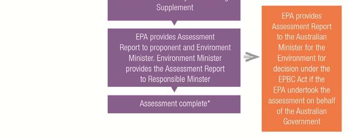 steps in Northern Territory Environmental Impact Assessment process Public and