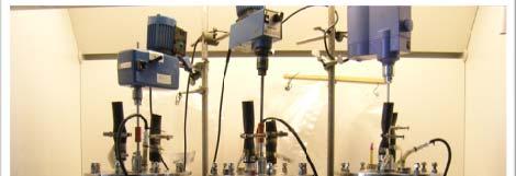 Experimental setup - Biogas Batch fermentations trials: - each
