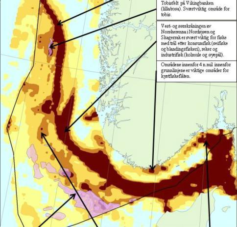 recommended total catch The North Sea an inland, shallow ocean