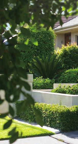 Landscaping Private Landscaping Private landscaping softens the appearance of dwellings, provides screening for privacy, offers shade during summer months and complements the greater landscape vision