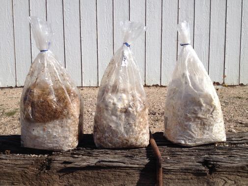 bags of substrate are stored